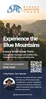 Small Group Blue Mountains Tour