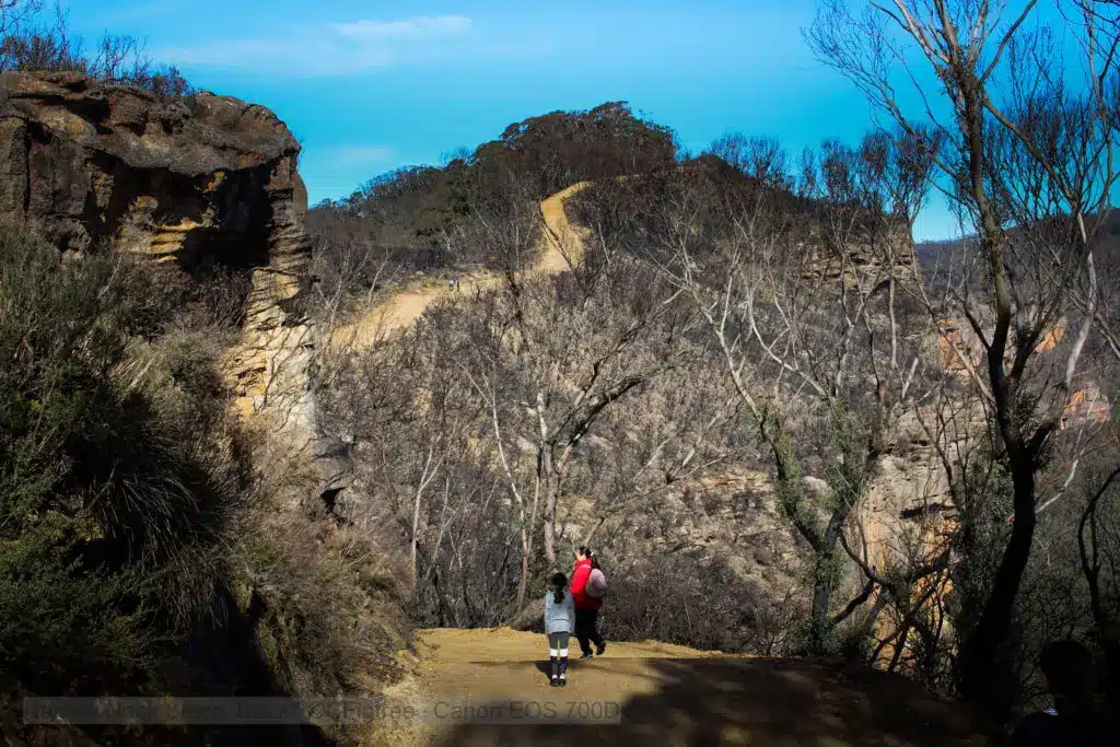 an extra steep section of the Narrow Neck track
