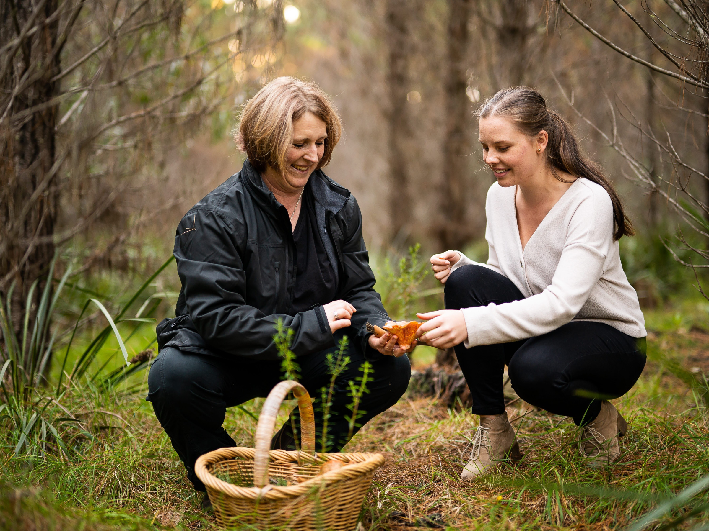 Southern Highlands Mushroom Foraging