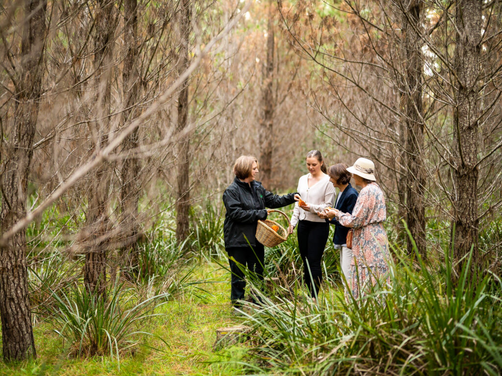 Southern Highlands mushroom foraging